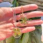 Silver Lucky four leaf clover necklace.